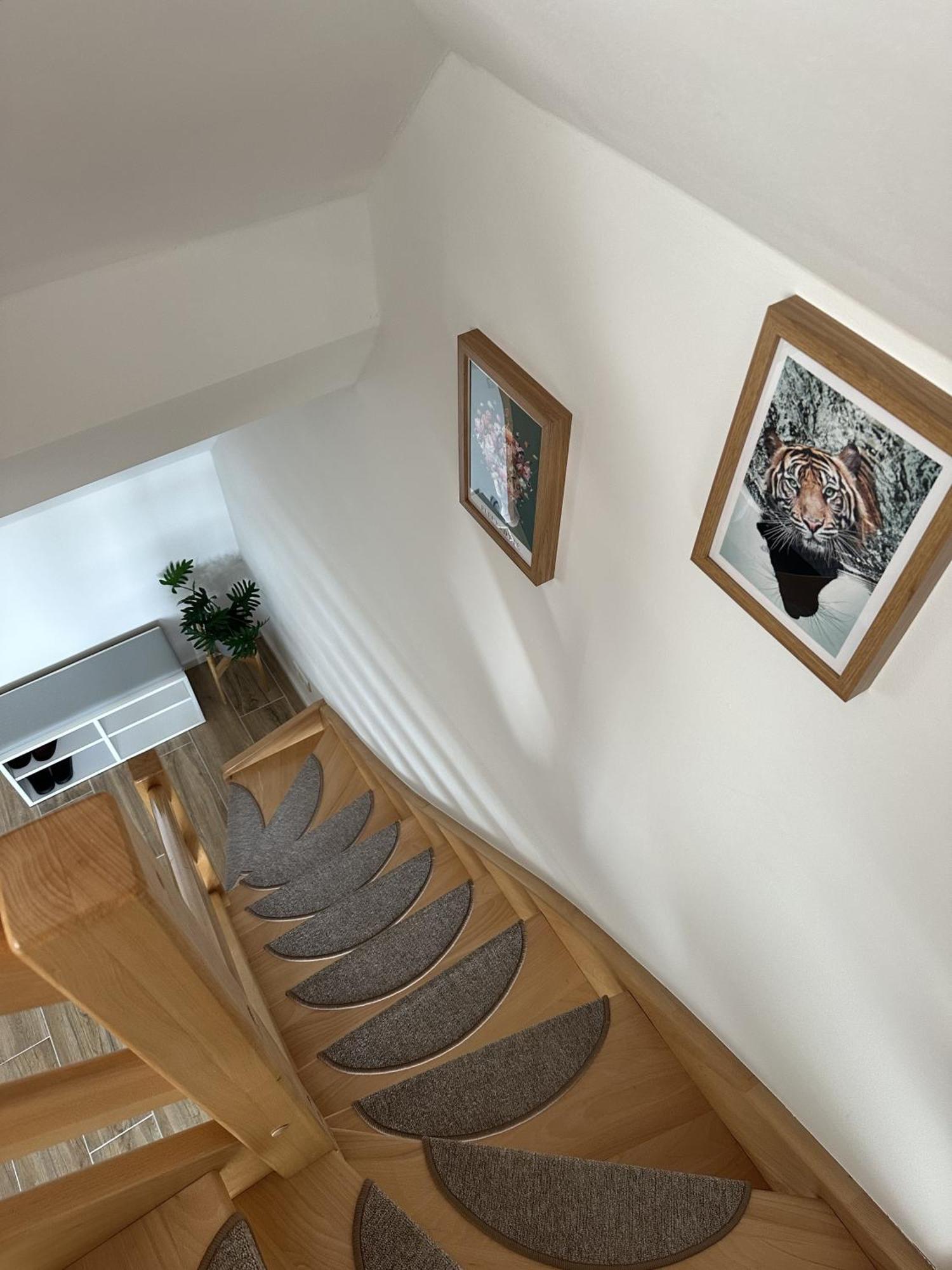 Europa Apartamenty トシェンサチ エクステリア 写真